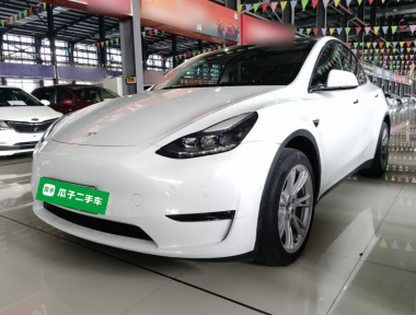 Tesla Model Y 2023 Tesla Model Y 2023 car image