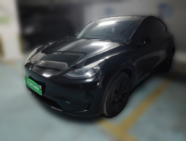 Tesla Model Y 2023 Tesla Model Y 2023 car image