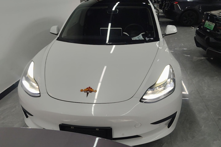 Tesla Model 3 2022 #3 Tesla Model 3 2022 car image #3