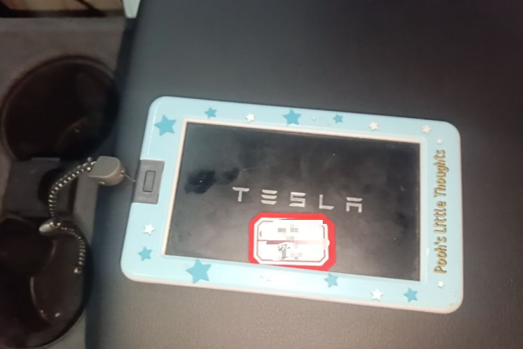 Tesla Model Y 2021 car image #9