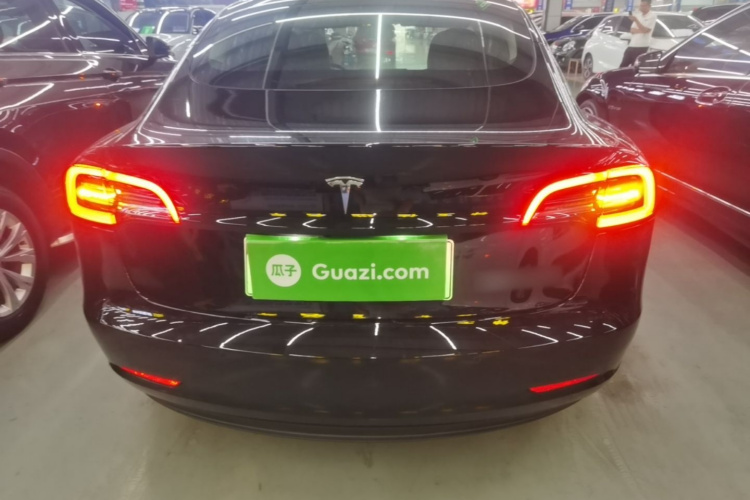Tesla Model 3 2021 #4 Tesla Model 3 2021 car image #4