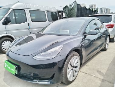 Tesla Model 3 2021 Tesla Model 3 2021 car image