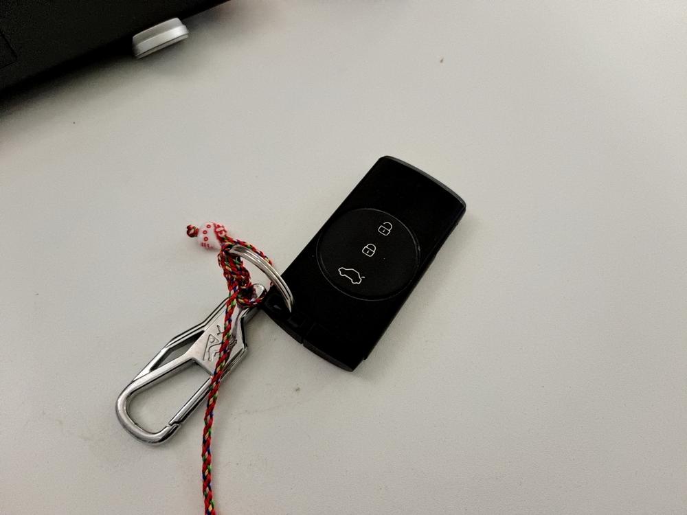 Chery Tiggo 3x 2024 car image #11
