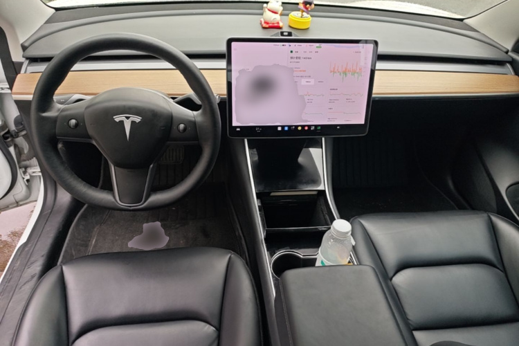Tesla Model 3 2020 #10 Tesla Model 3 2020 car image #10
