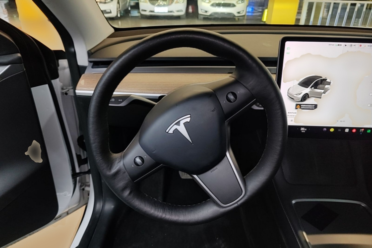 Tesla Model Y 2021 car image #11