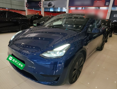 Tesla Model Y 2023 car image 