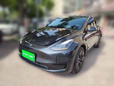 Tesla Model Y 2024 car image 