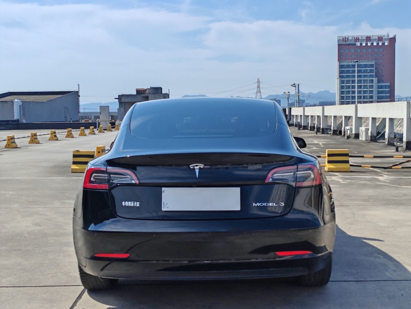 Tesla Model 3 2023 #5 Tesla Model 3 2023 car image #5
