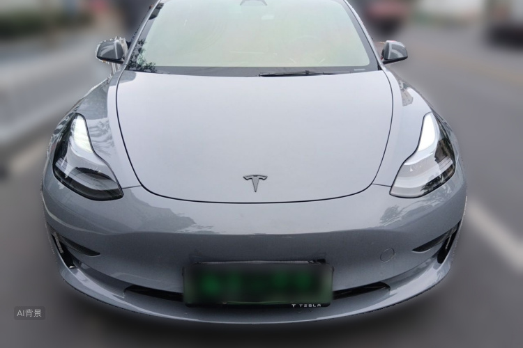 Tesla Model 3 2022 #3 Tesla Model 3 2022 car image #3