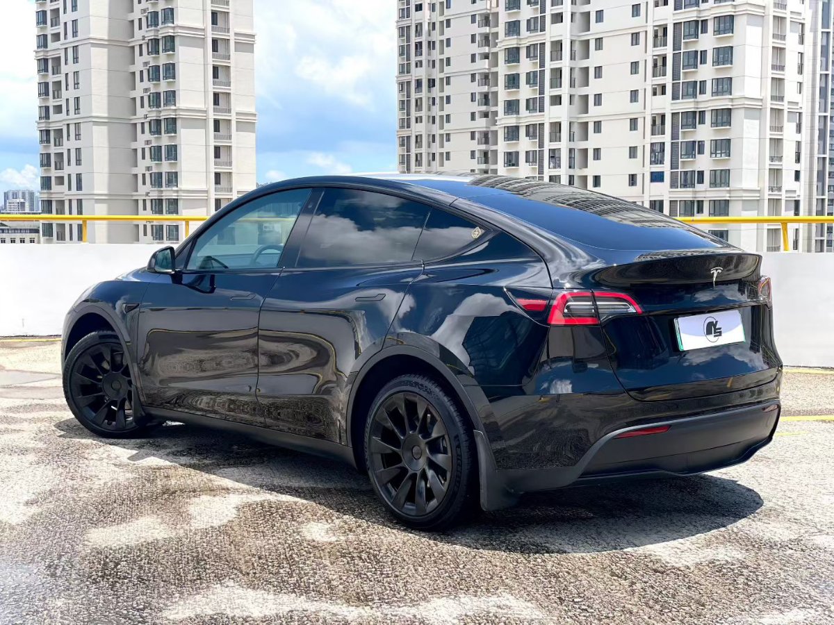 Tesla Model Y 2021 #8 Tesla Model Y 2021 car image #8