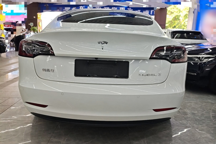 Tesla Model 3 2020 car image #6