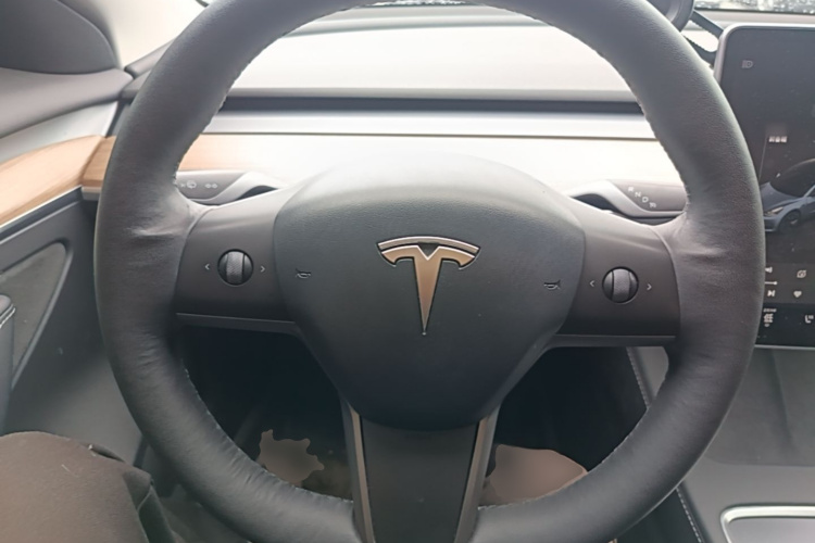Tesla Model 3 2022 immagine di auto #11