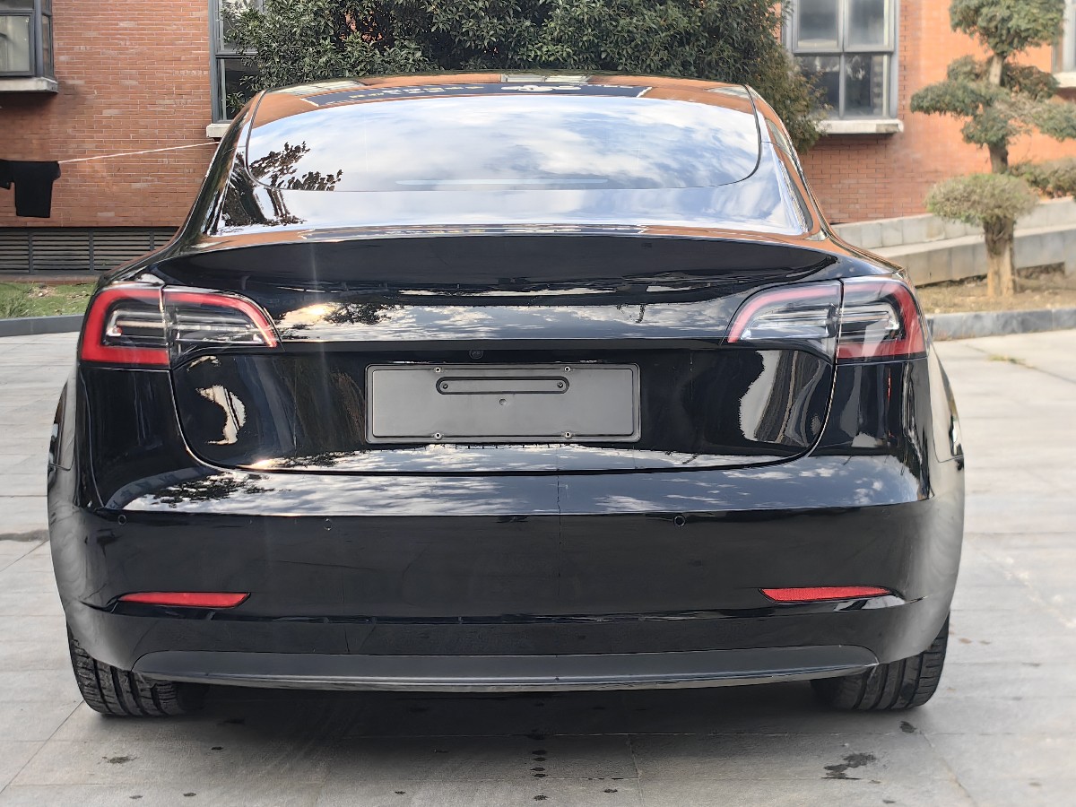 Tesla Model 3 2021 #3 Tesla Model 3 2021 car image #3