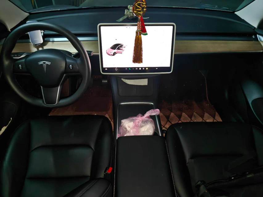 Tesla Model 3 2023 #3 Tesla Model 3 2023 car image #3