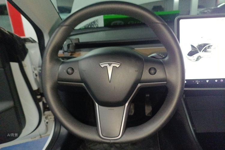 Tesla Model 3 2020 imagem de carro #12