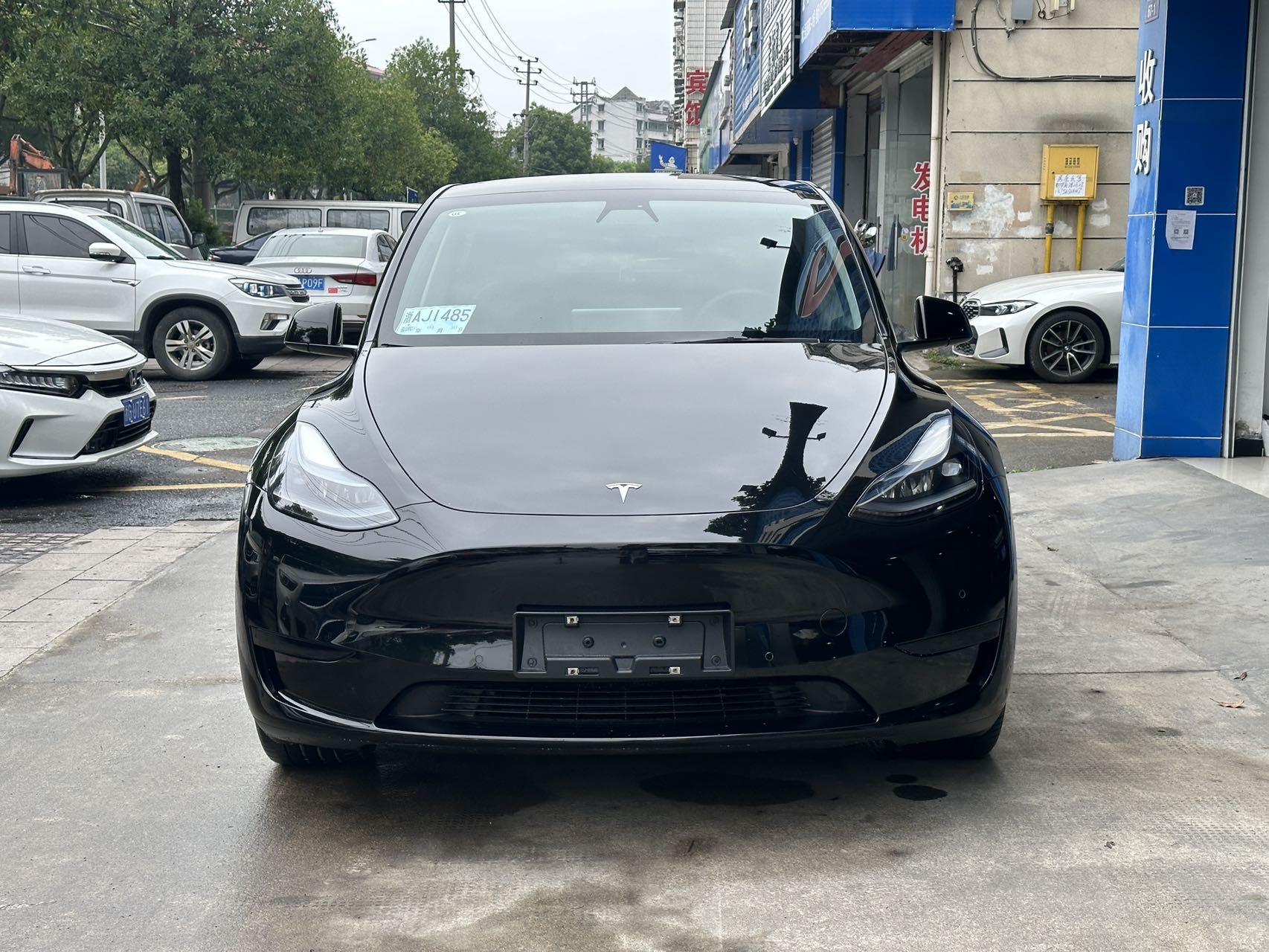 Tesla Model Y 2023 Tesla Model Y 2023 car image