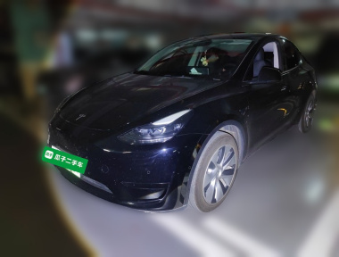 Tesla Model Y 2022 car image 