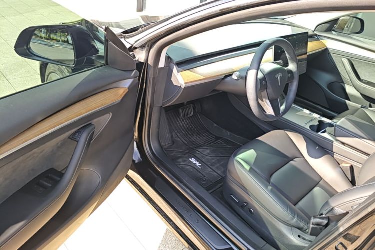 Tesla Model 3 2021 car image #16