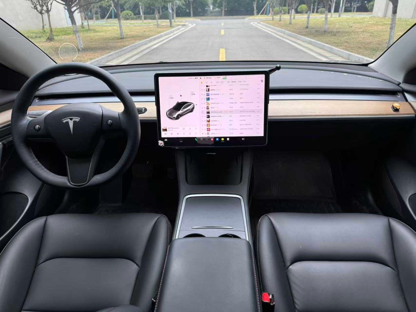 Tesla Model 3 2021 car image #8