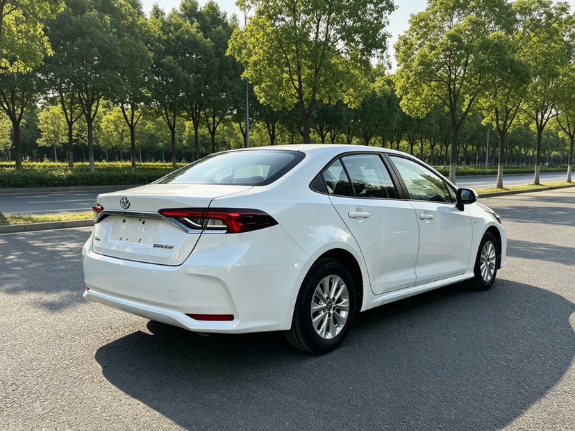 Toyota Corolla 2021 #7 Toyota Corolla 2021 car image #7