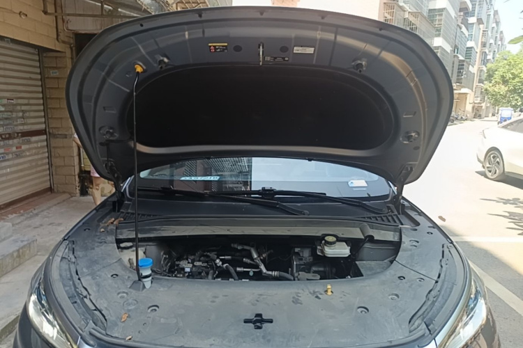BYD Yuan Plus 2023 car image #20