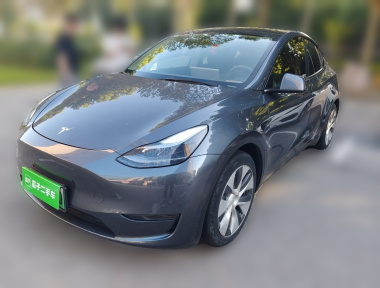 Tesla Model Y 2021 Tesla Model Y 2021 car image