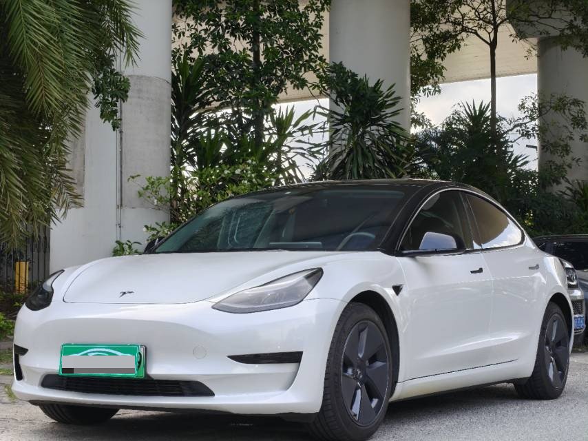 Tesla Model 3 2022 car image 