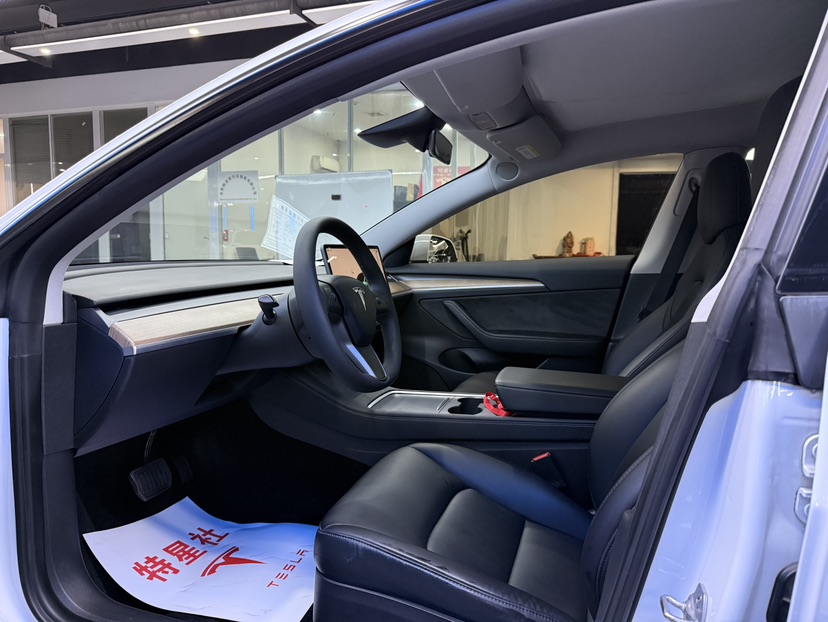 Tesla Model 3 2022 #4 Tesla Model 3 2022 car image #4