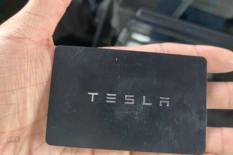 Tesla Model 3 2021 car image #10
