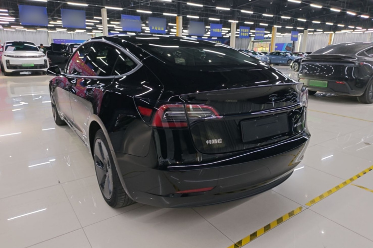 Tesla Model 3 2021 car image #5