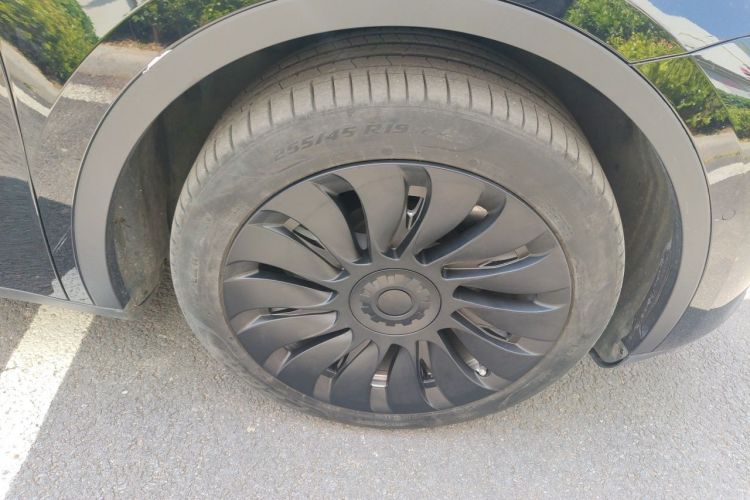 Tesla Model Y 2023 #6 Tesla Model Y 2023 car image #6