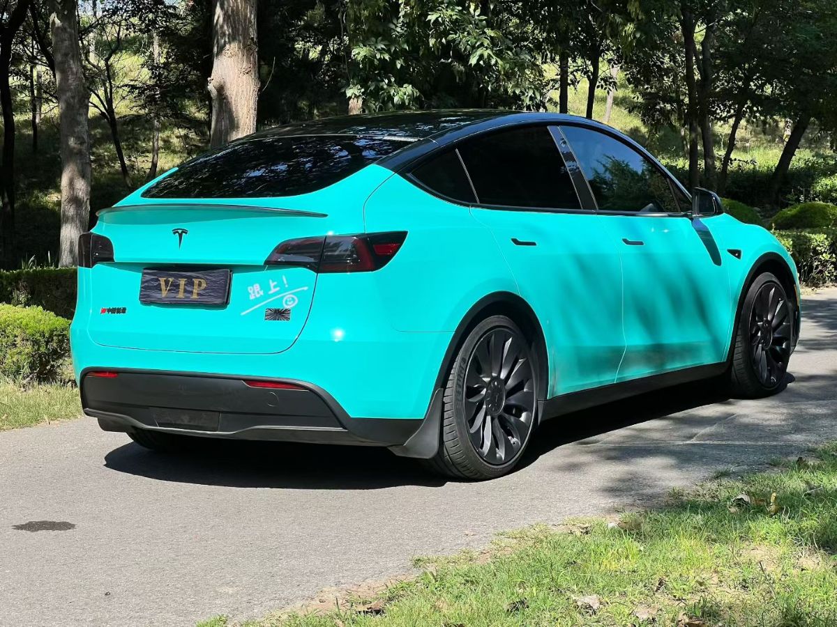 Tesla Model Y 2022 car image #4