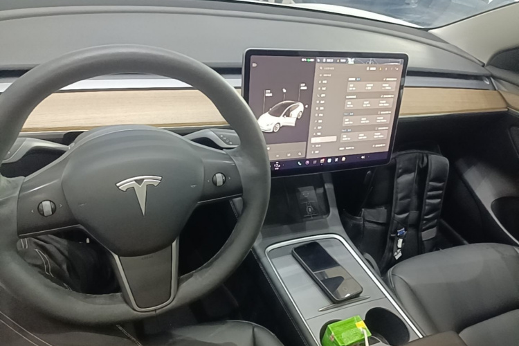 Tesla Model 3 2021 #10 Tesla Model 3 2021 car image #10