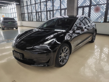 Tesla Model 3 2021 immagine di auto 