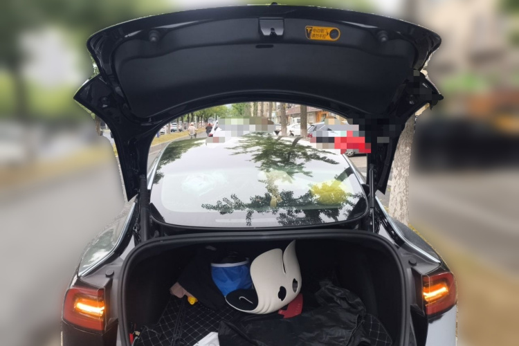 Tesla Model 3 2021 #21 Tesla Model 3 2021 immagine di auto #21