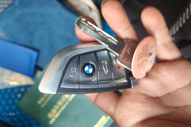 BMW X1 2016 imagen de coche #10