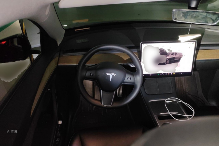 Tesla Model Y 2022 car image #12