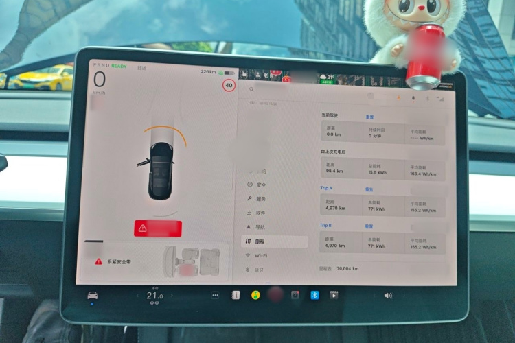 Tesla Model 3 2021 car image #16