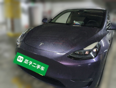Tesla Model Y 2023 Tesla Model Y 2023 изображение автомобиля