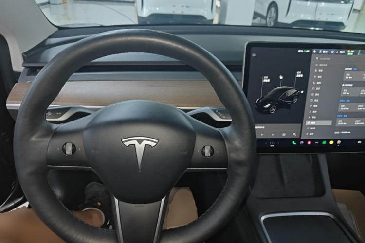 Tesla Model 3 2020 car image #11
