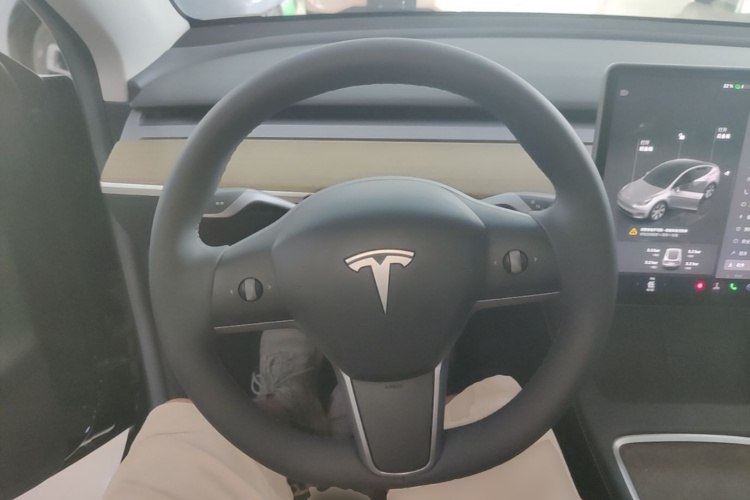 Tesla Model Y 2023 car image #11
