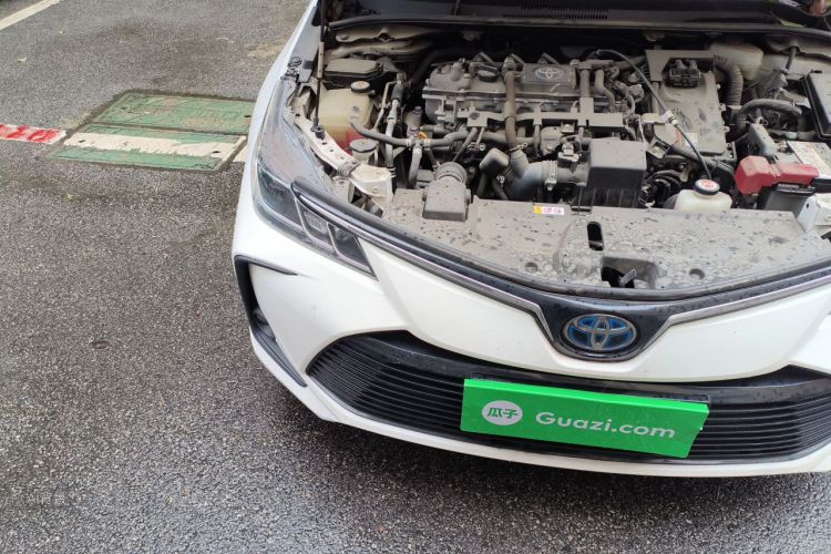 Toyota Corolla 2021 car image #8