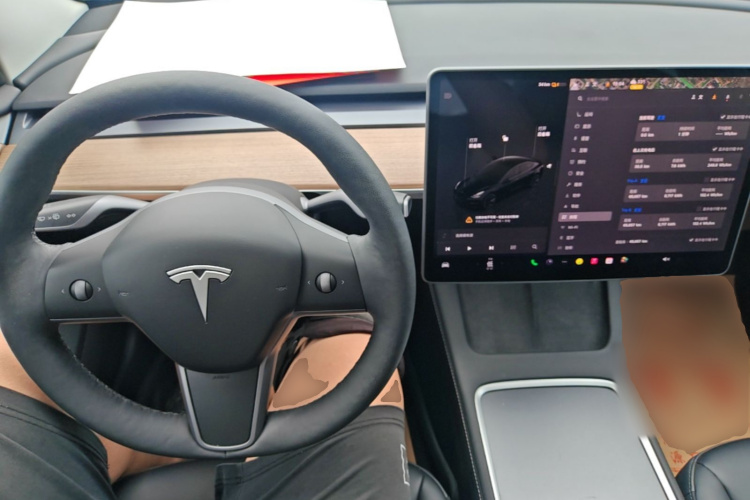 Tesla Model 3 2023 car image #11