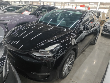 Tesla Model Y 2021 Tesla Model Y 2021 car image