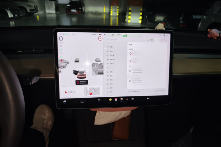 Tesla Model 3 2021 #16 Tesla Model 3 2021 car image #16