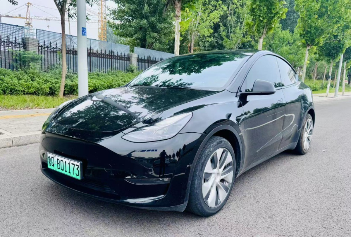 Tesla Model Y 2022 Tesla Model Y 2022 car image