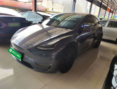Tesla Model Y 2021 Tesla Model Y 2021 immagine di auto