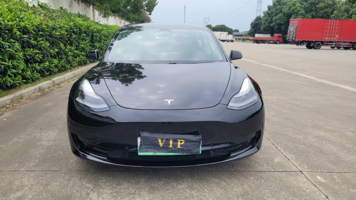 Tesla Model 3 2021 #2 Tesla Model 3 2021 car image #2