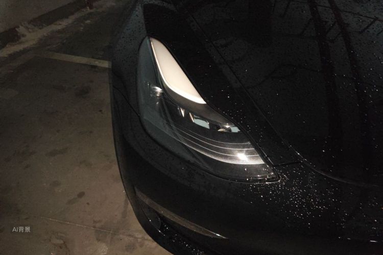 Tesla Model 3 2022 #8 Tesla Model 3 2022 car image #8