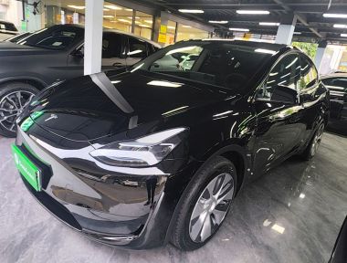 Tesla Model Y 2023 car image 